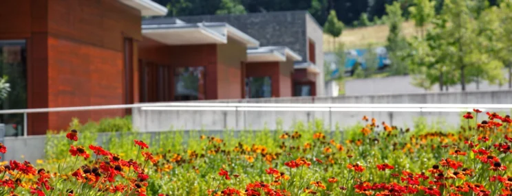 Bildeninstitut Regensburg von außen mit Garten